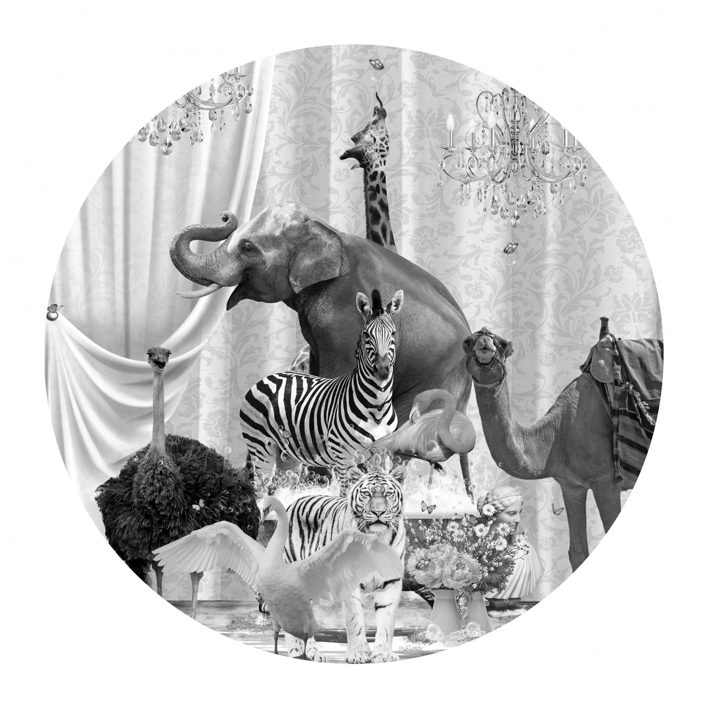 All Together & Bubbles Black & White fototapet