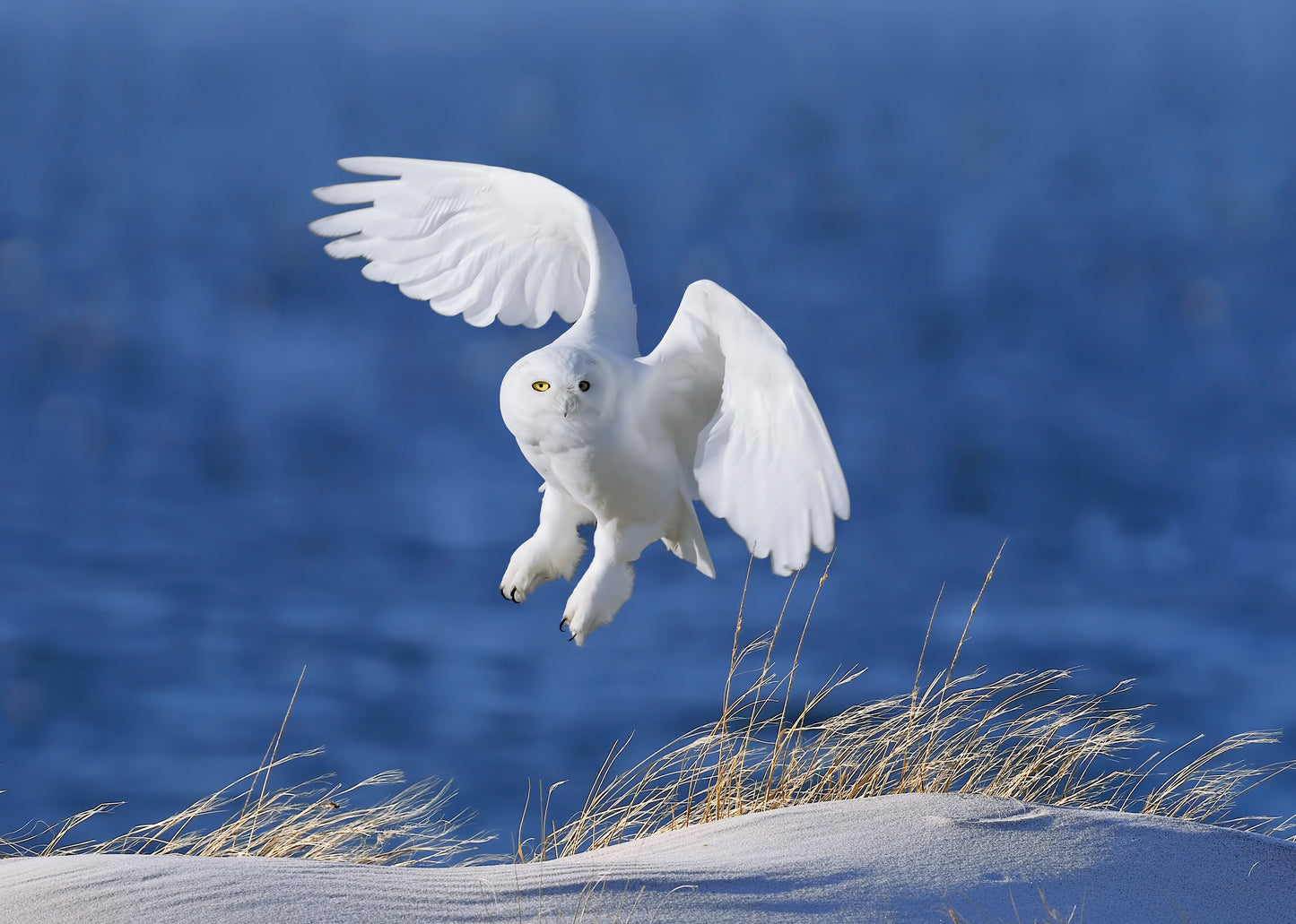 White Spirit demon fototapet