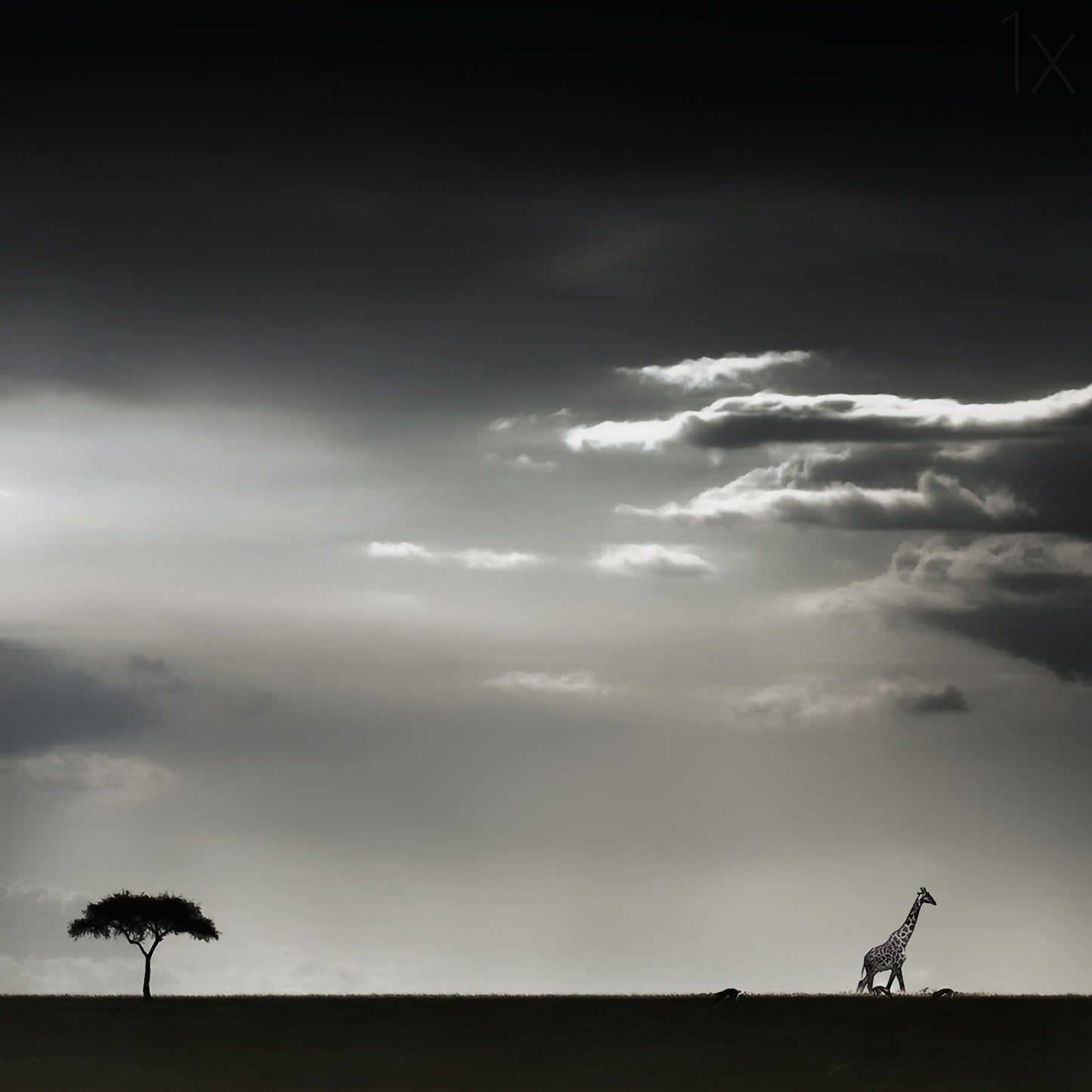 15 minutes of happiness fototapet