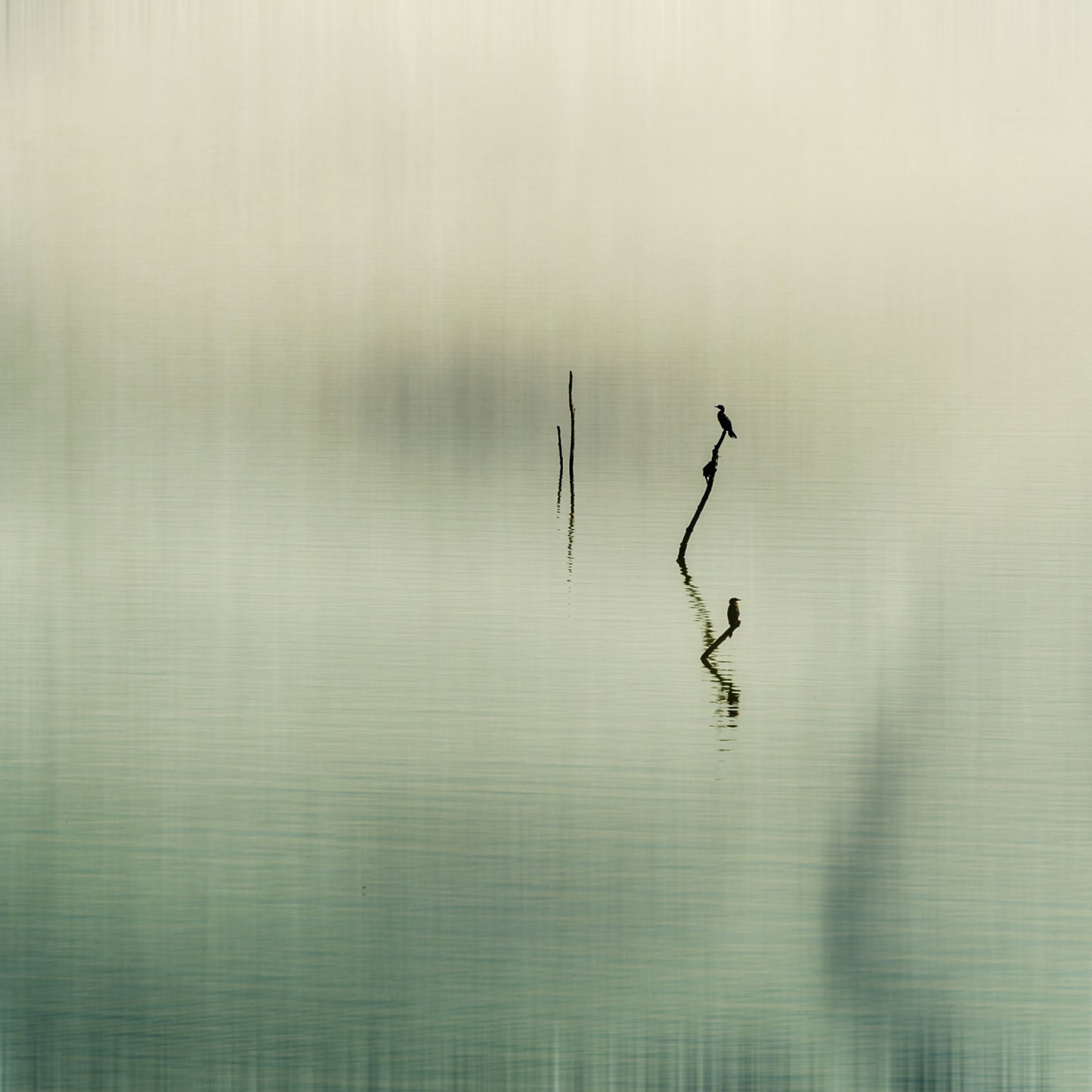 spring haiku fototapet