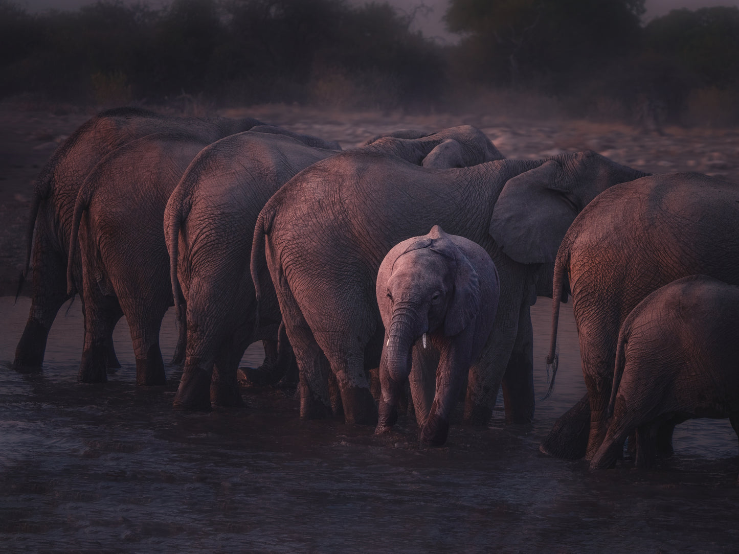 Alone Turning Around fototapet