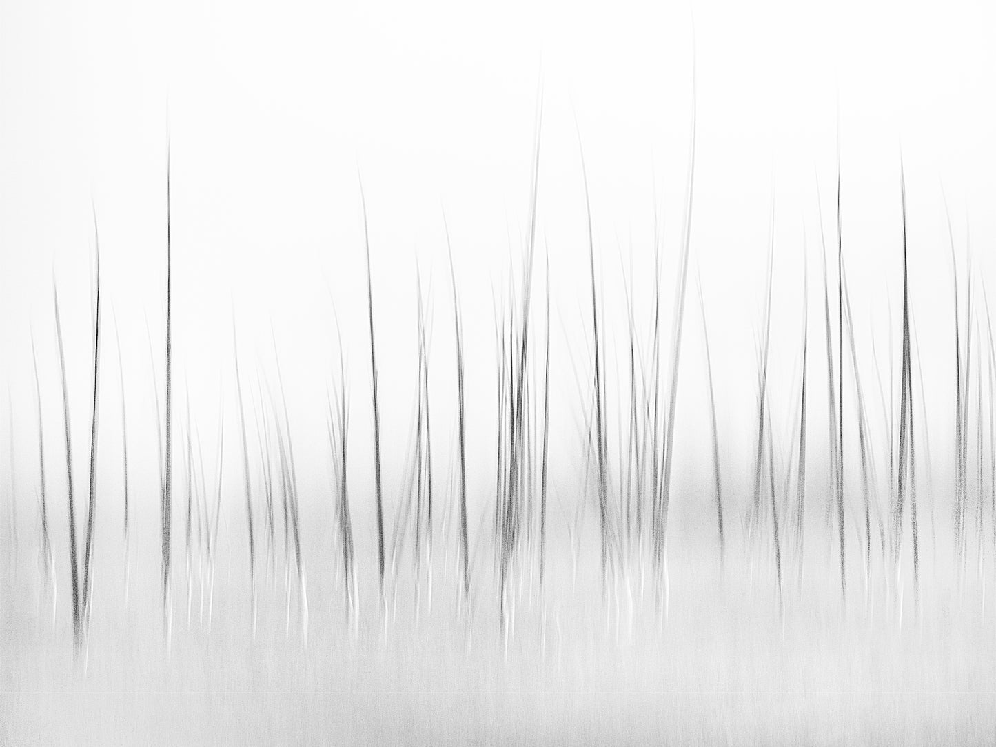 Wintry scenery in Yellowstone fototapet