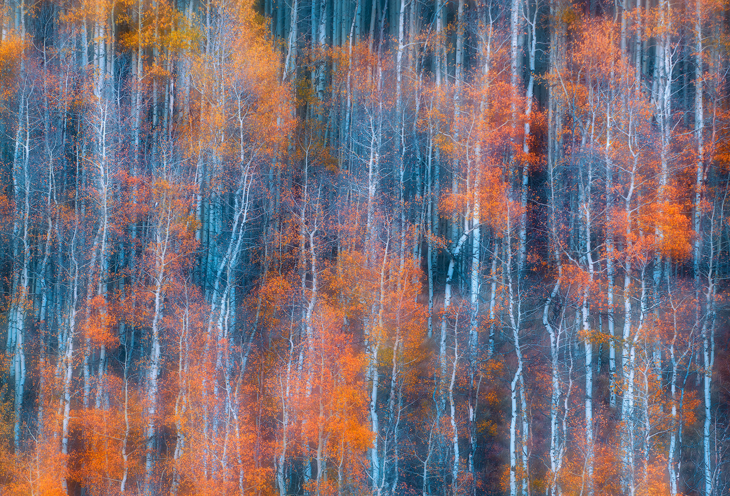 Autumn Abstract fototapet
