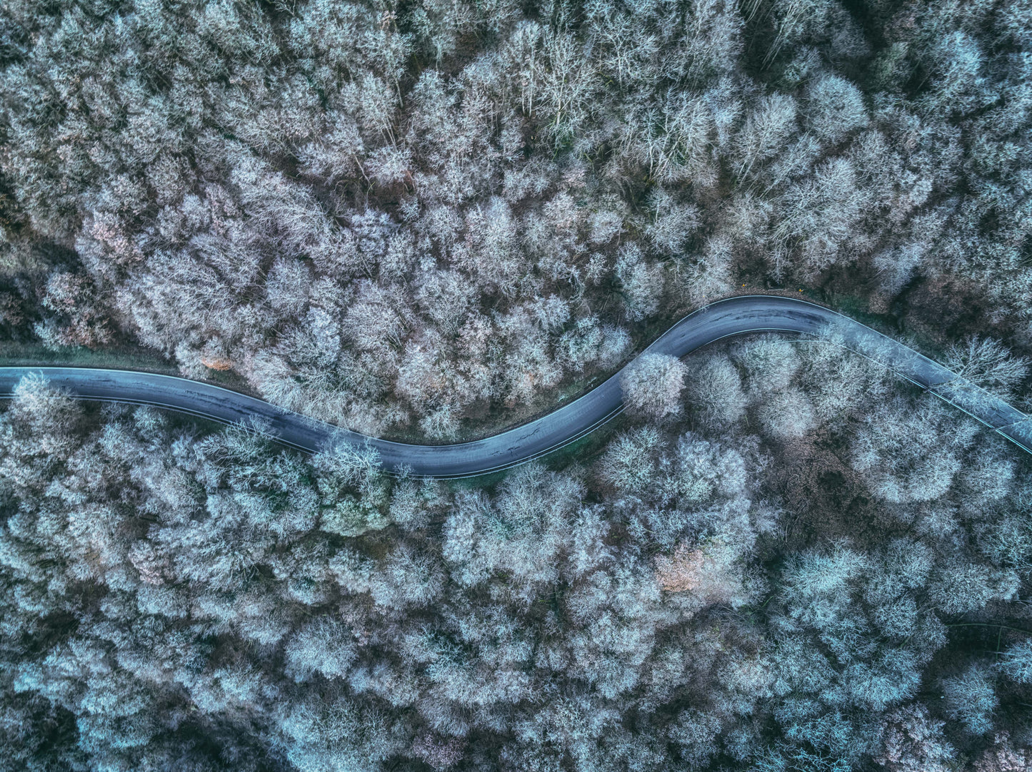 winter road fototapet