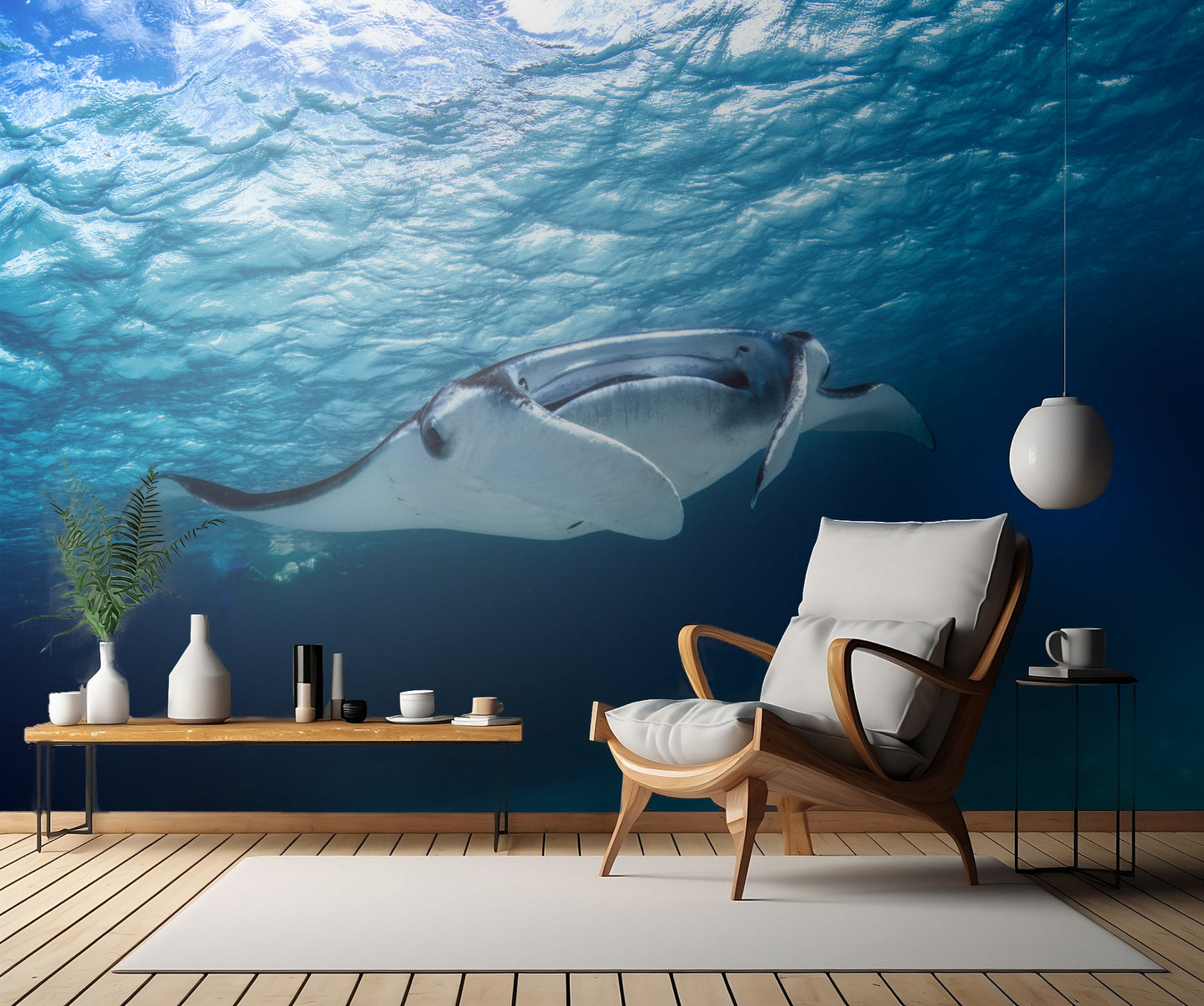 Manta ray fototapet