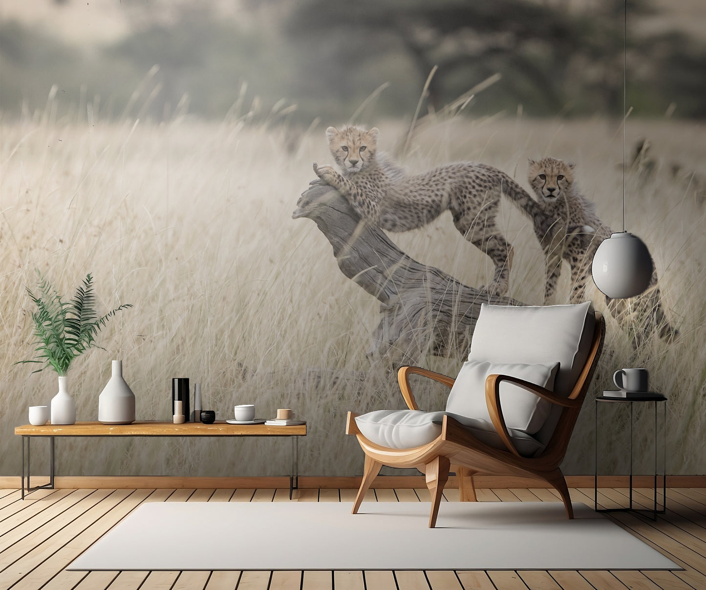 Curious Kitties fototapet