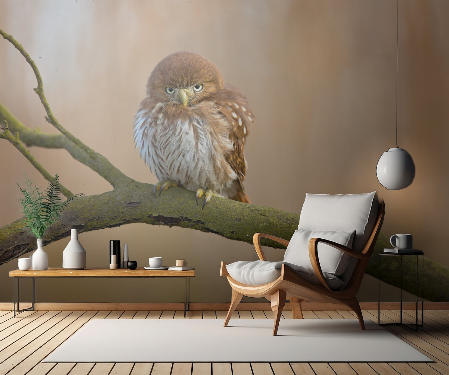 Ferruginous pygmy owl fototapet