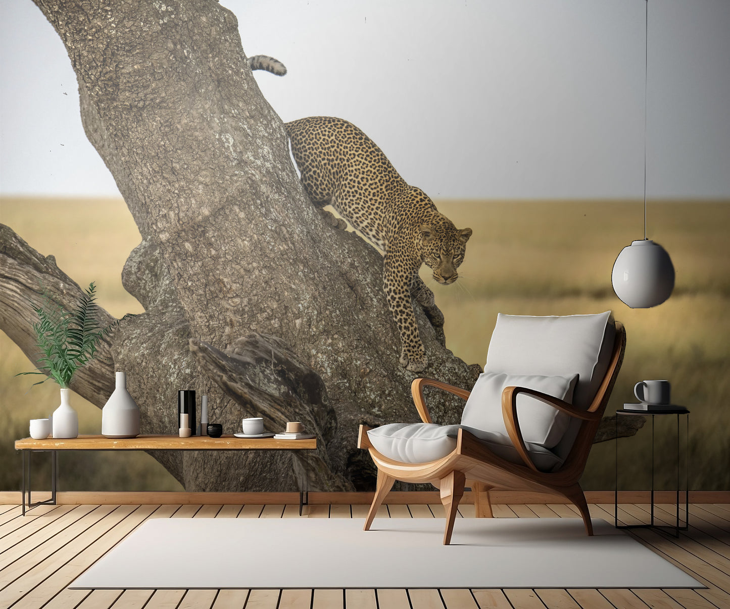 Leopard - Serengheti, Tanzania fototapet