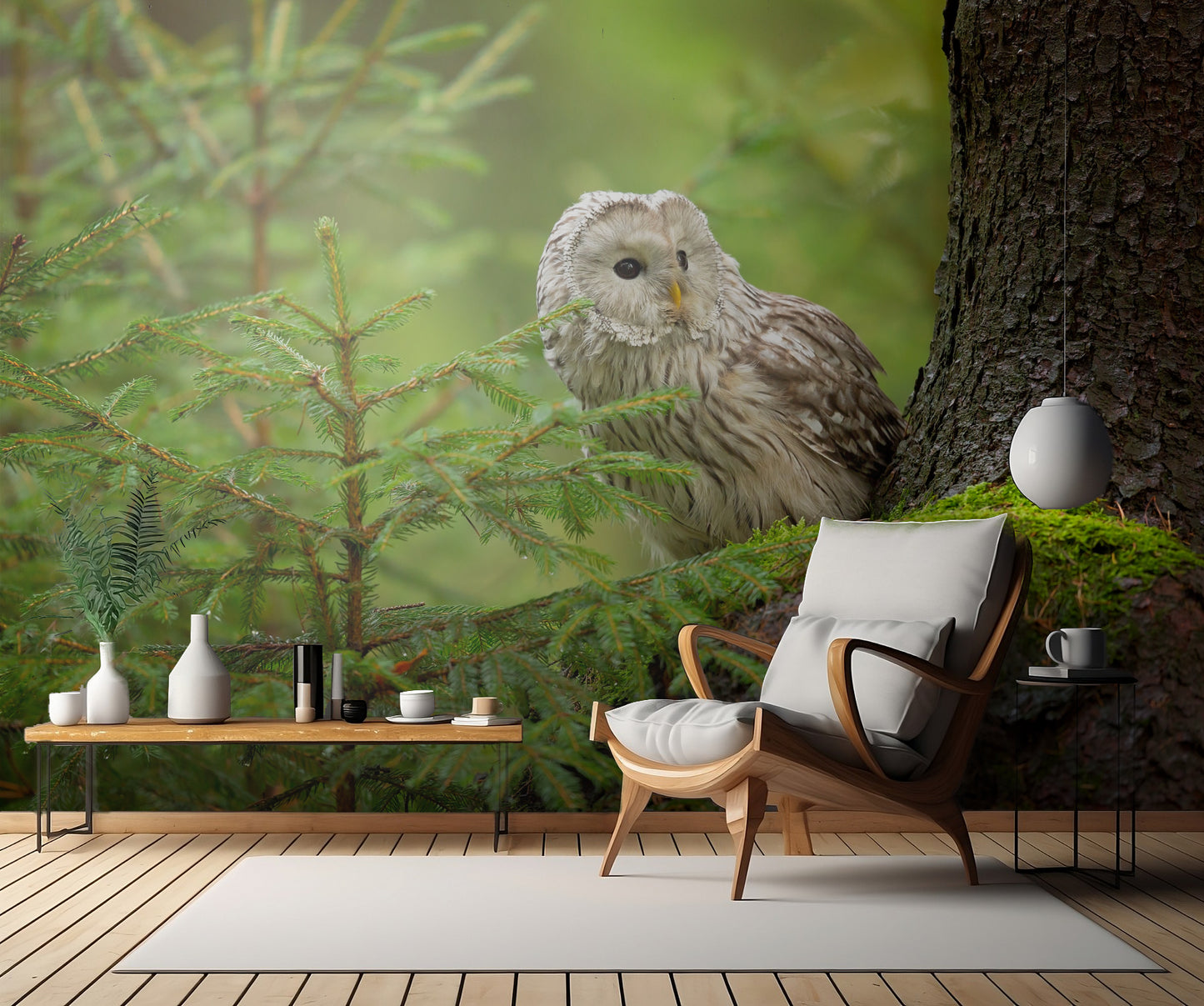 Ural Owl fototapet