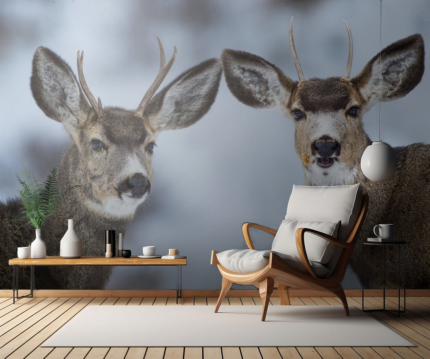 Are we there yet ... fototapet