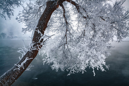 中国吉林雾凇岛 fototapet