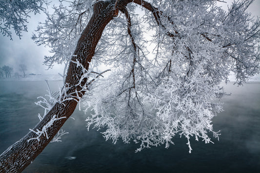 中国吉林雾凇岛 fototapet