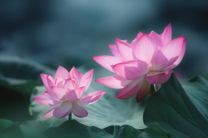 Views of different depths fototapet