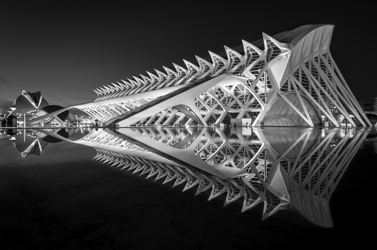 Exoskeleton fototapet