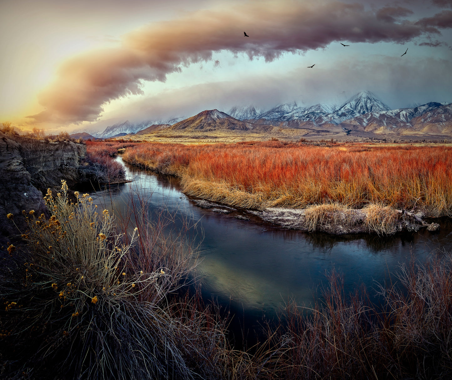 Owens River at Sunrise fototapet