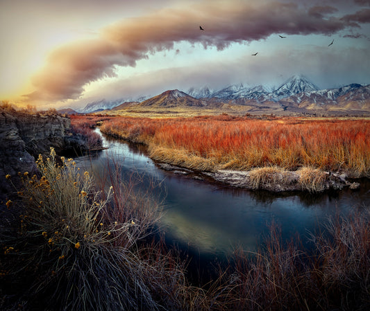 Owens River at Sunrise fototapet