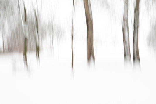 Wintertime fototapet