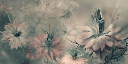 The virgins ll fototapet