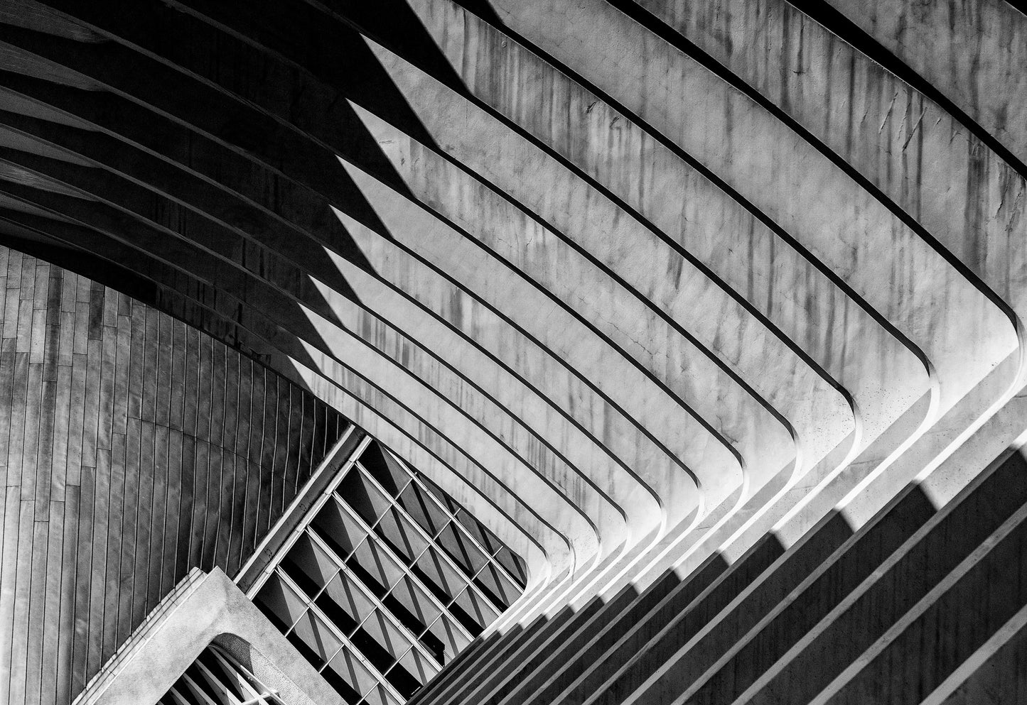 Solitary Confinement ( 2 ) fototapet