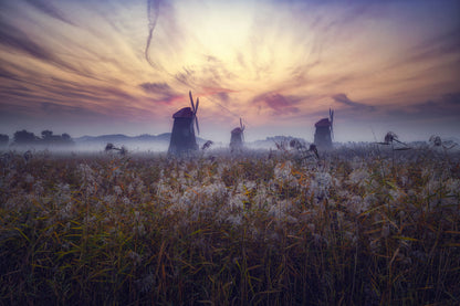 Morning of Sorae fototapet