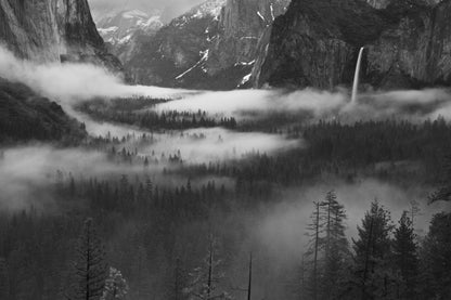 Fog Floating In Yosemite Valley fototapet