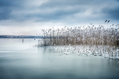 Winter Impression fototapet