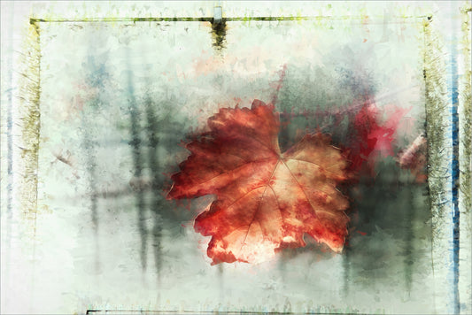 Adams costume fototapet