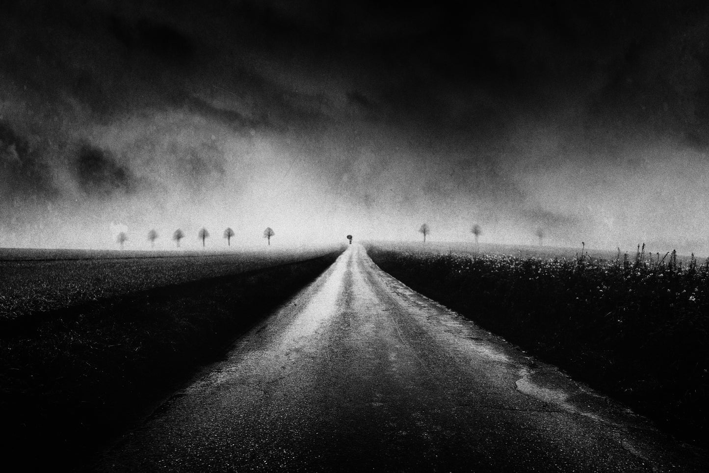 Abandoning The Sun fototapet