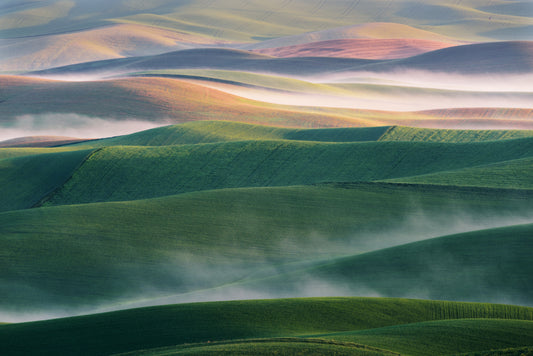 Foggy Morning fototapet