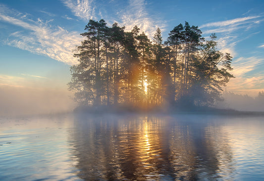 Morning light fototapet