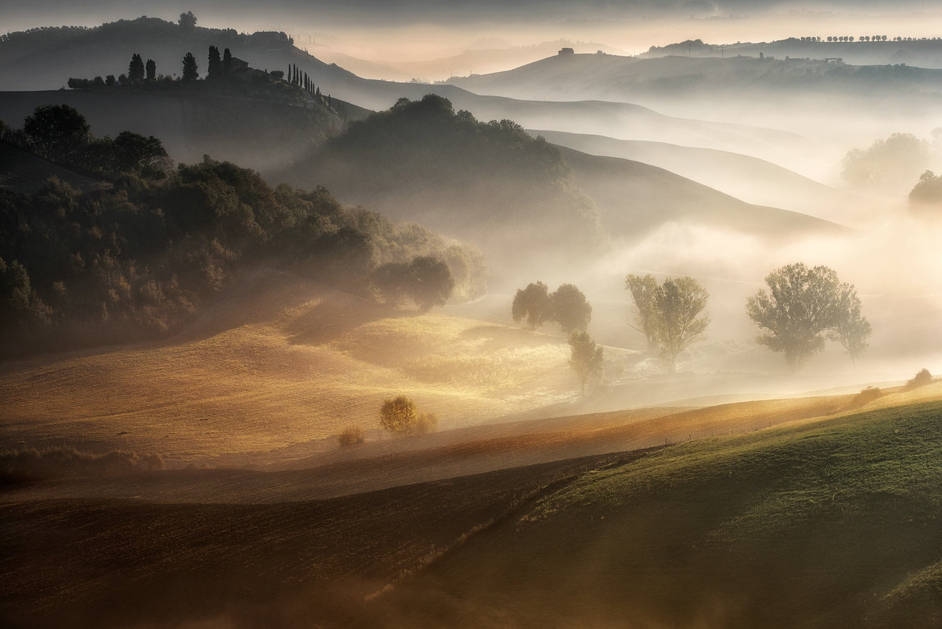 "IN THE EMBRACE OF THE FOG" fototapet