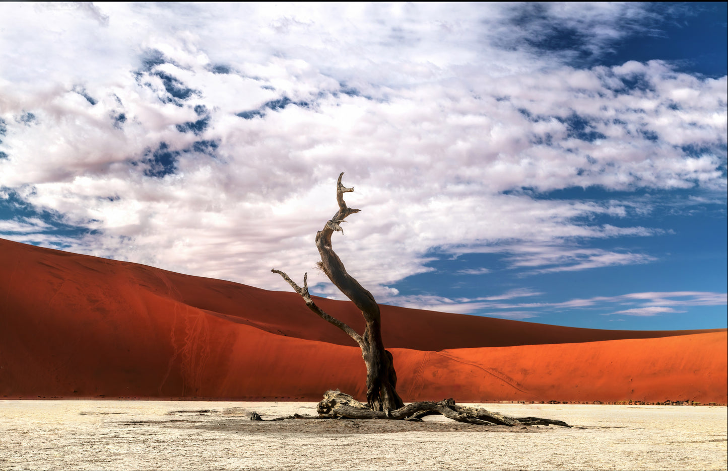 Last Stand fototapet