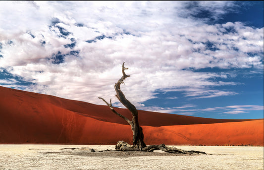 Last Stand fototapet