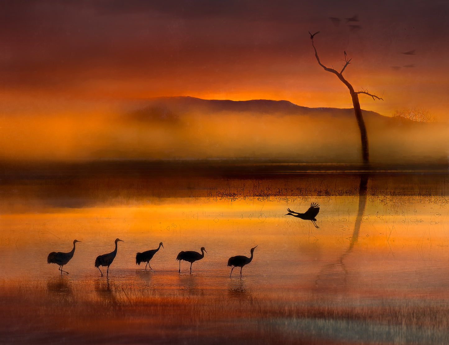 We are here waiting for you fototapet