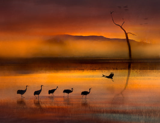 We are here waiting for you fototapet