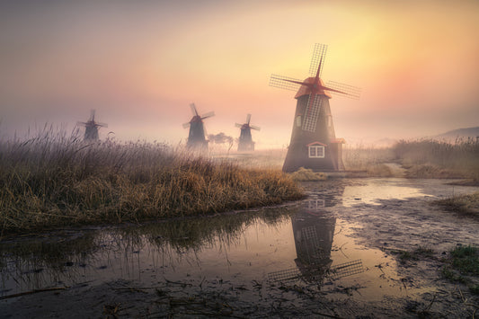 Foggy morning fototapet