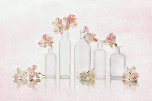 Peruvian-lily Gethering fototapet