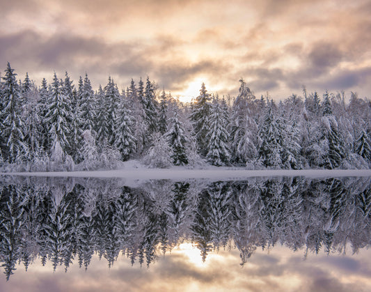 Winters reflection fototapet