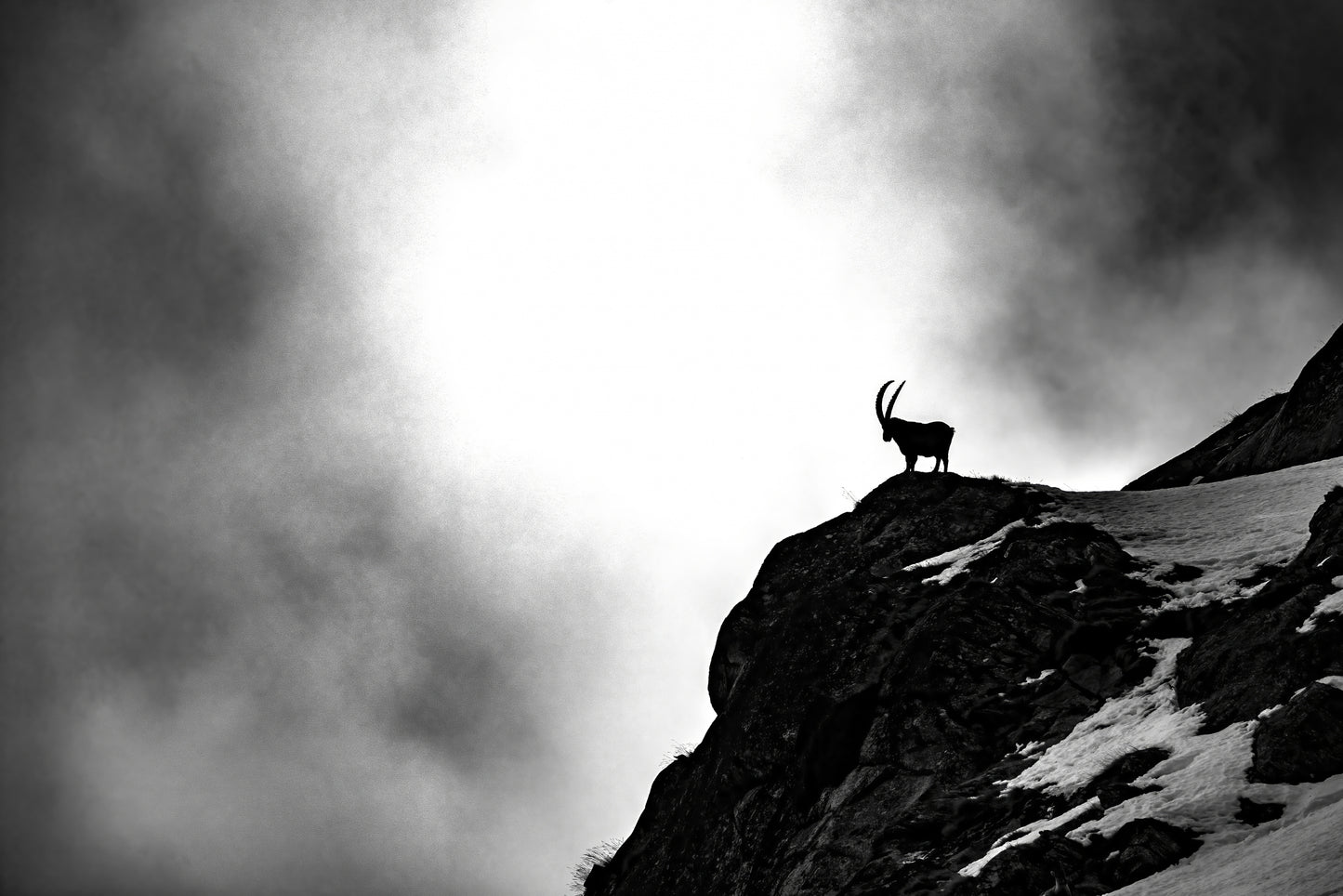 Where ibex dare fototapet