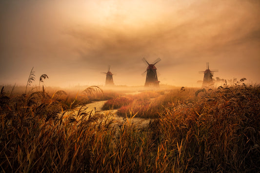 A fascinating morning fototapet