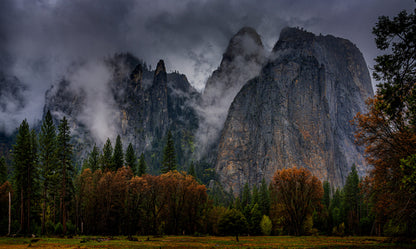 Yosemite after rain fototapet