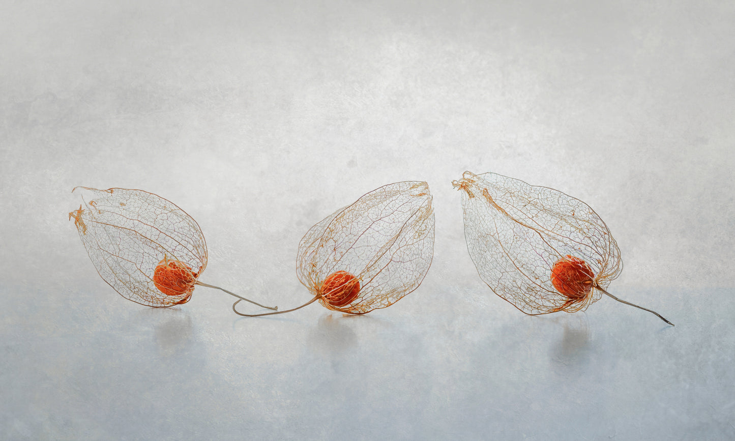 Chinese lantern fototapet