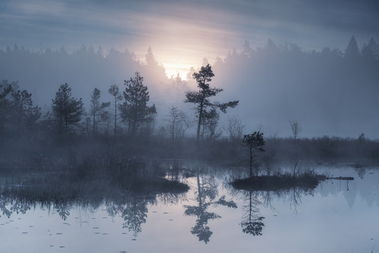 When the sun wakes up fototapet