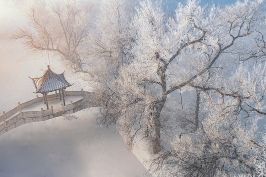吉林雾凇岛 Jilin Wusong Island fototapet