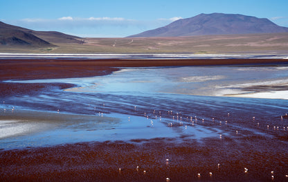 A splash of blue fototapet