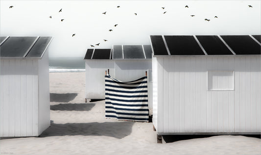 As free as a bird... fototapet