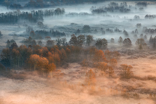 Autumnal misty dawn fototapet