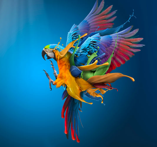 Flying Colours fototapet