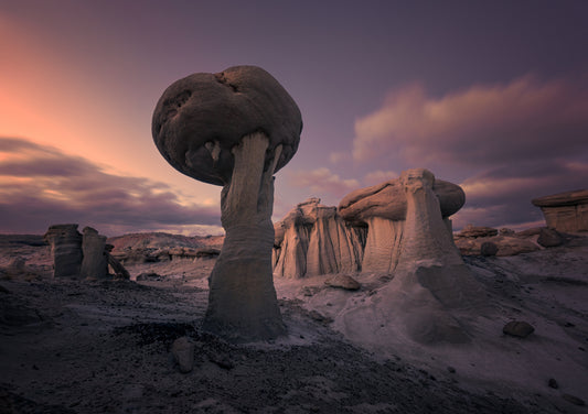 Yearning in Silence fototapet