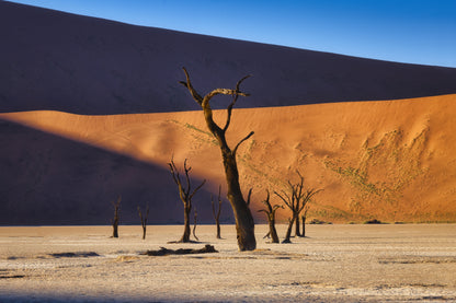 Deadvlei fototapet